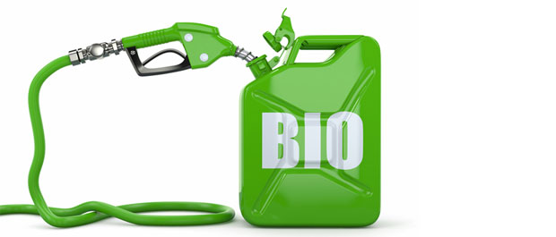 Biodrivstoff og forskjellsbehandling