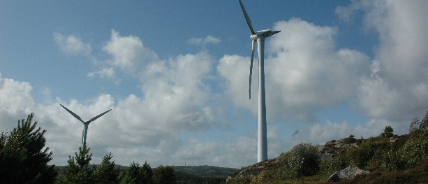 Advarer mot naturskatt på vindkraft